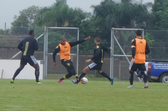 Tigre realiza trabalho tático