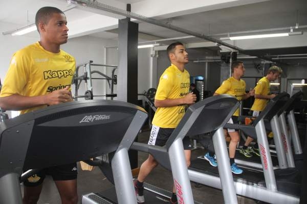 Tigre treina parte técnica e de força