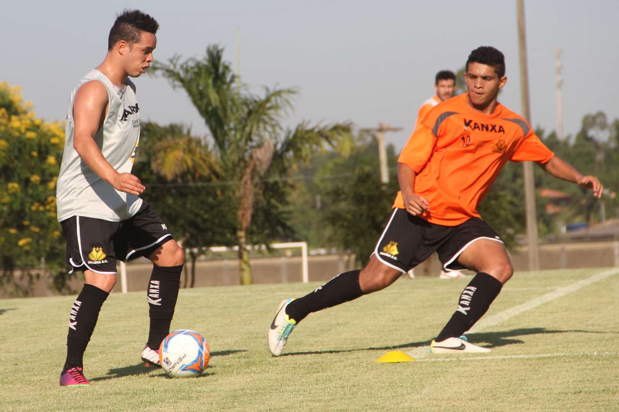 Tigre faz trabalho de movimentação no CT